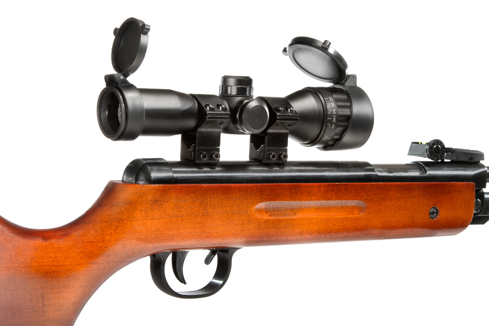 Best Air Rifles & Long Range Pellet Guns in 2024 TheGearHunt