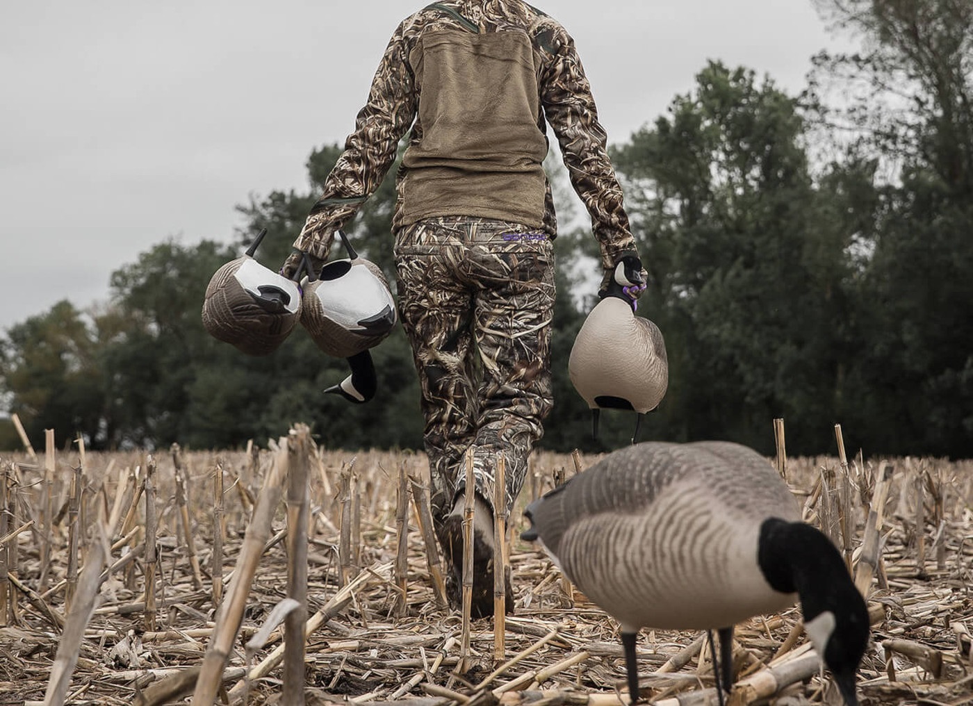 10 Best Hunting Pants Reviewed & Rated in 2019 | TheGearHunt - 