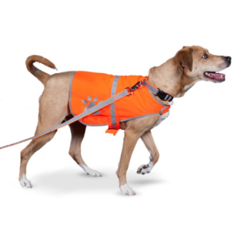Petflect Reflective