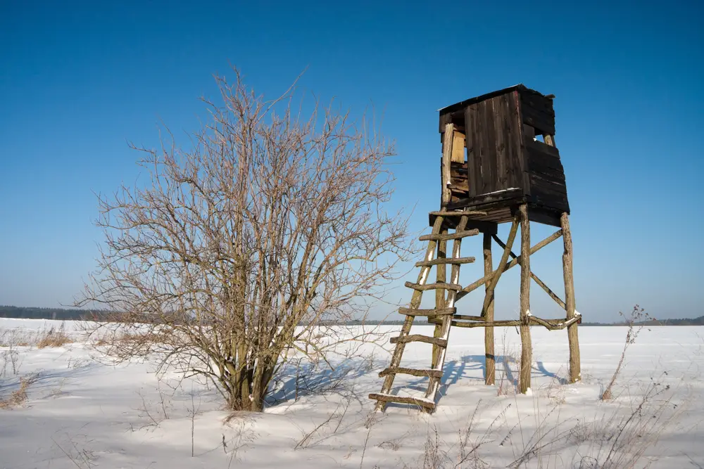 An in depth review of the best hunting blinds in 2019