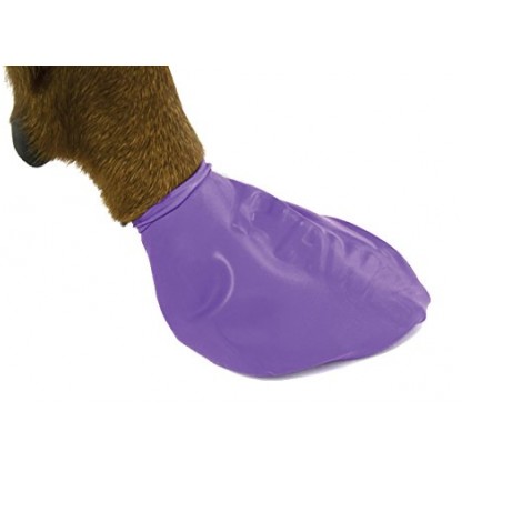 11. Pawz