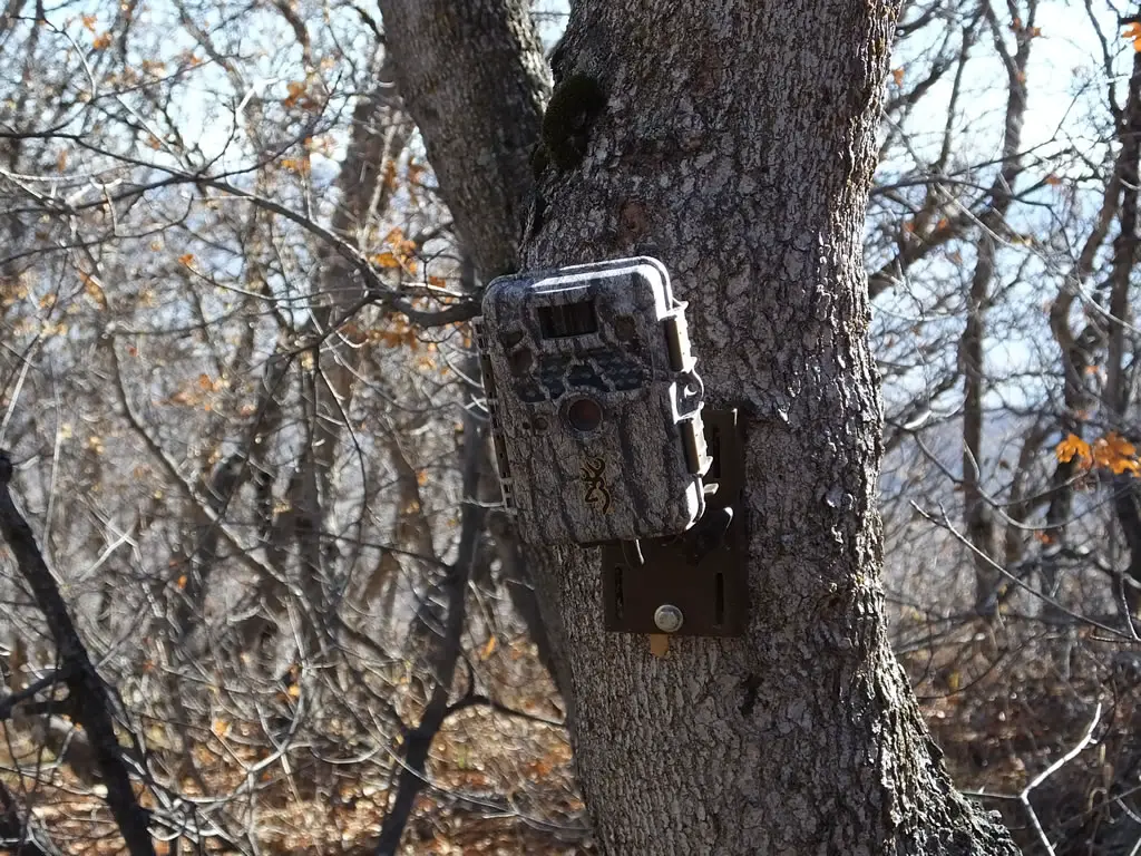 An in depth review of the best trail cameras in 2018
