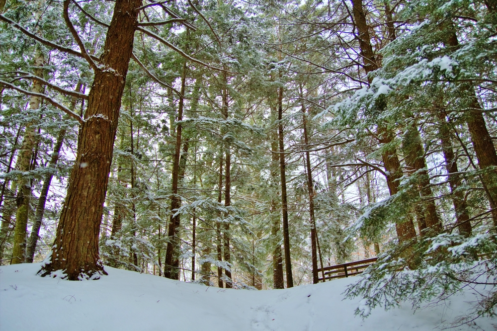 4 Survival Uses For Space Blankets You Did Not Know Edgehunting