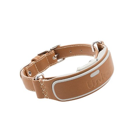 6. Link AKC Smart