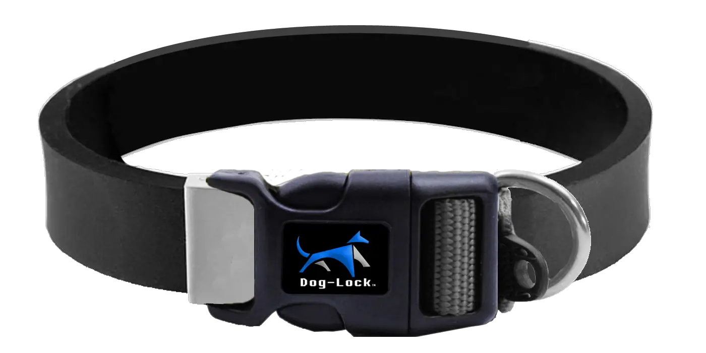 An in depth review of the best gps dog collars in 2018