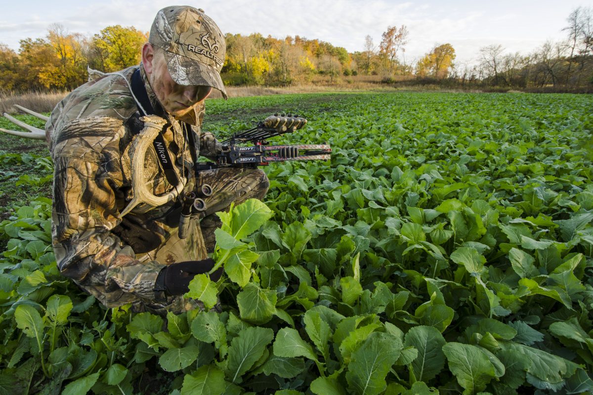 Hunting Over a Food Plot All you need to know about TheGearHunt