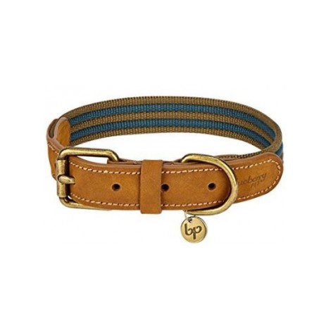10. Blueberry Pet Multi-Colored