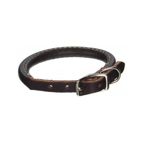 9. Coastal Pet Latigo Leather