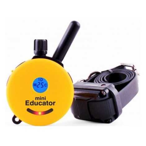 Educator E-Collar