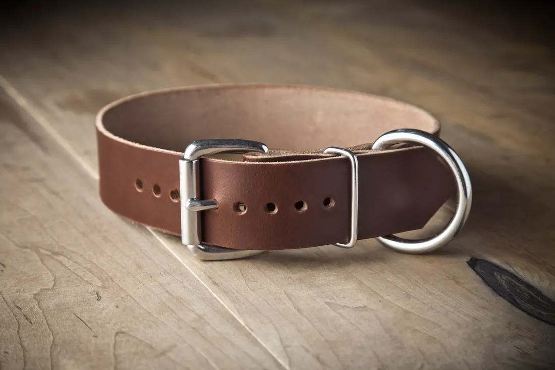 An in depth review of the best leather dog collars of 2018
