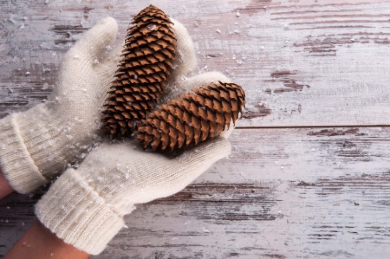 10 Best Winter Gloves Reviewed & Rated in 2024 TheGearHunt