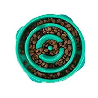 Outward Hound Slow Feeder