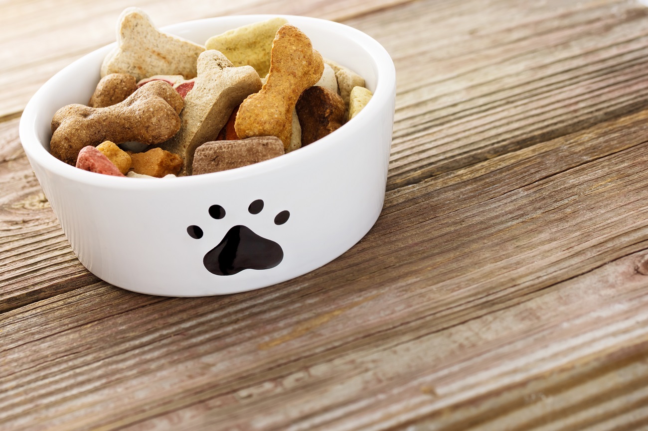 Best Dog Bowls for the Family Pet Reviewed in 2024 TheGearHunt