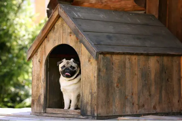 An in depth review of the best outdoor dog houses in 2017