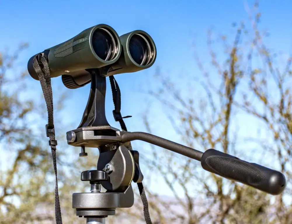 An in depth review of the best vortex binoculars in 2018
