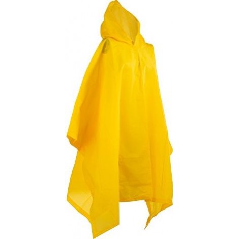 Totes Rain Poncho