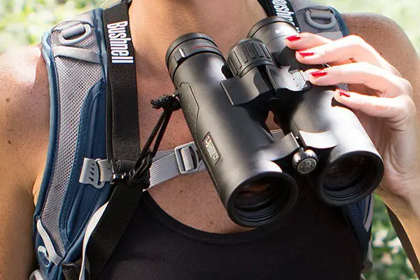 An in depth review of the best Bushnell binoculars in 2018