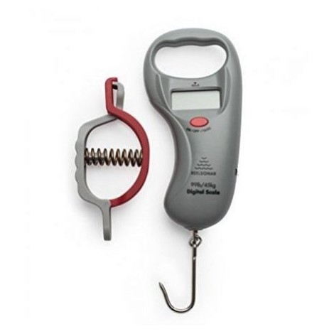 ReelSonar Digital
