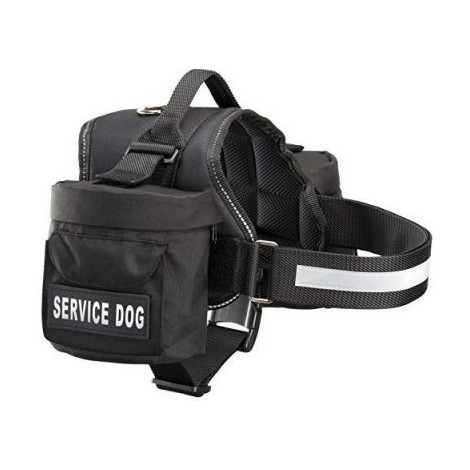 6. Doggie Stylz Service