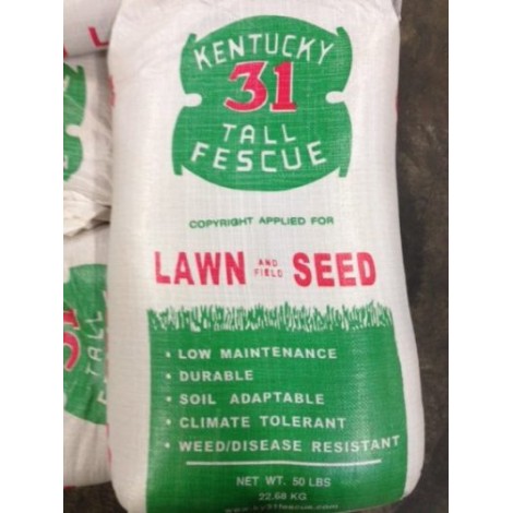 Kentucky 31 Tall Fescue 50