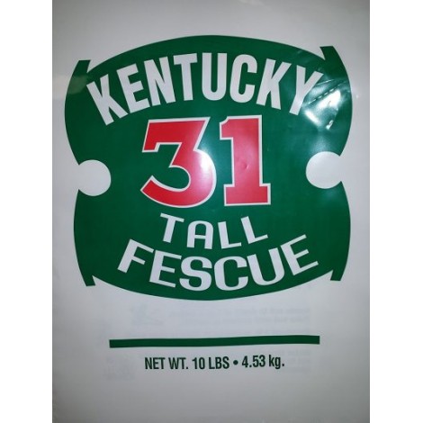 Kentucky 31 Tall Fescue 10