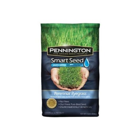  Pennington Perennial Rye Blend