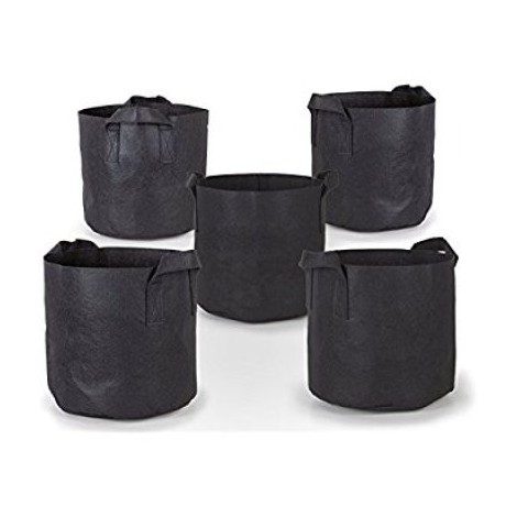 8. 247Garden 5-Pack