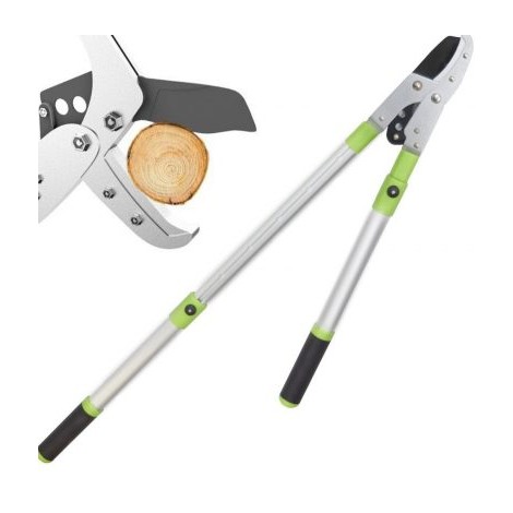 2. Anvil Razor-Edge