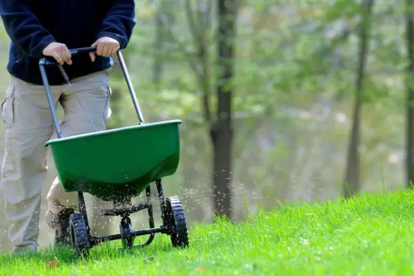 An in depth review of the best lawn fertilizer in 2018