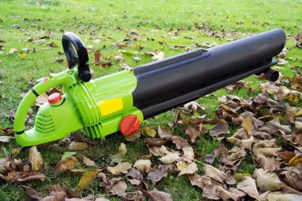 An in depth review of the best leaf blowers in 2019