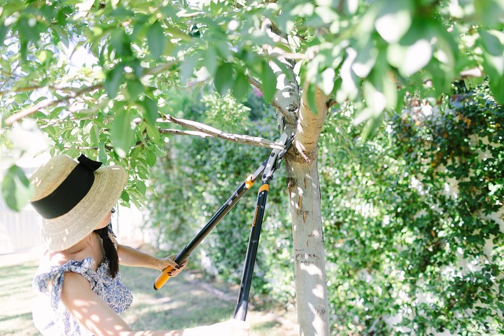 10 Best Loppers Reviewed & Rated in 2024 TheGearHunt