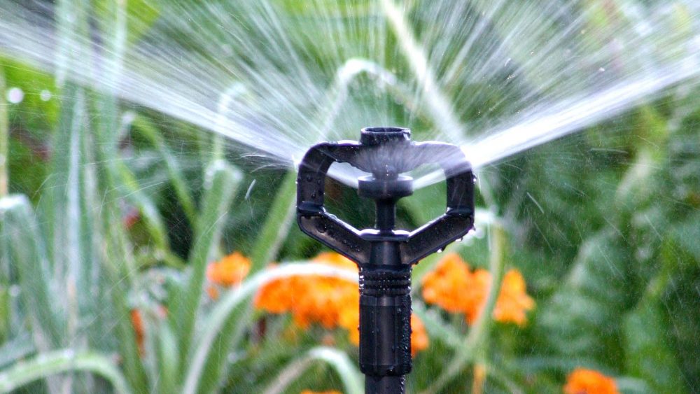 10 Best Watering Systems Reviewed in 2024 TheGearHunt