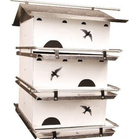 3. Bird's Choice