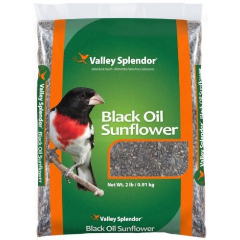 Valley Splendor