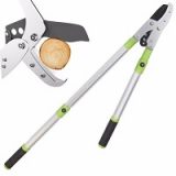 Anvil Razor-Edge