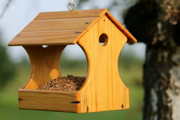 an in-depth review of the best birdhouses of 2019