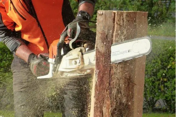an in-depth review of the best chainsaws of 2018.