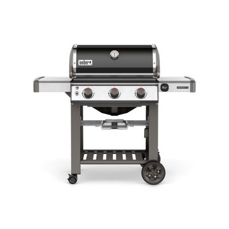 Weber Genesis II