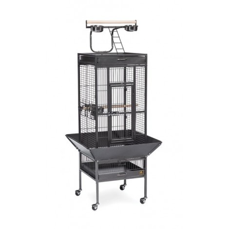 3. Prevue Pet Products