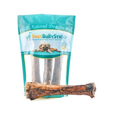  Best Bully Sticks