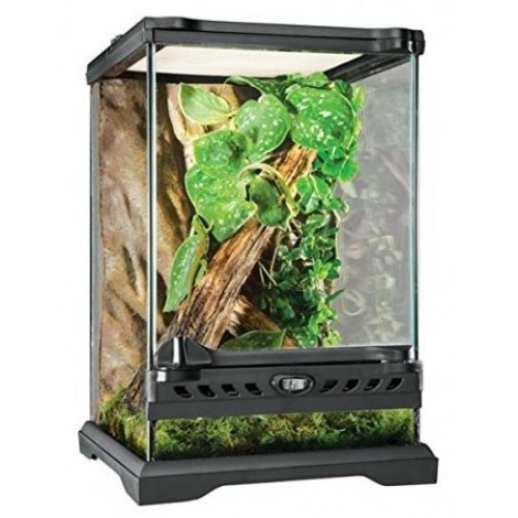 Exo Terra Glass Natural
