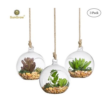 Sun Grow 3