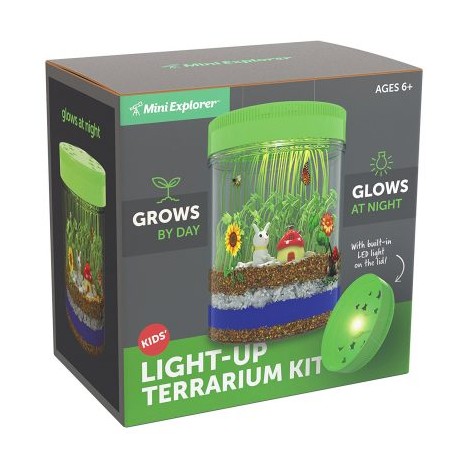 Mini Explorer Light Up