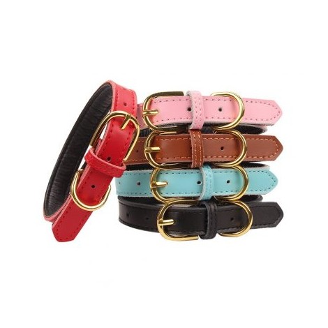 6. AOLOVE Basic