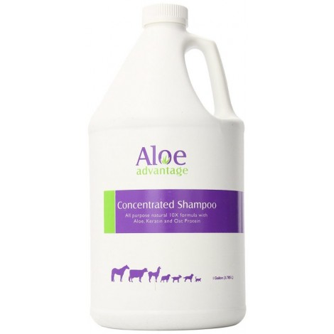 10. Aloe Advantage