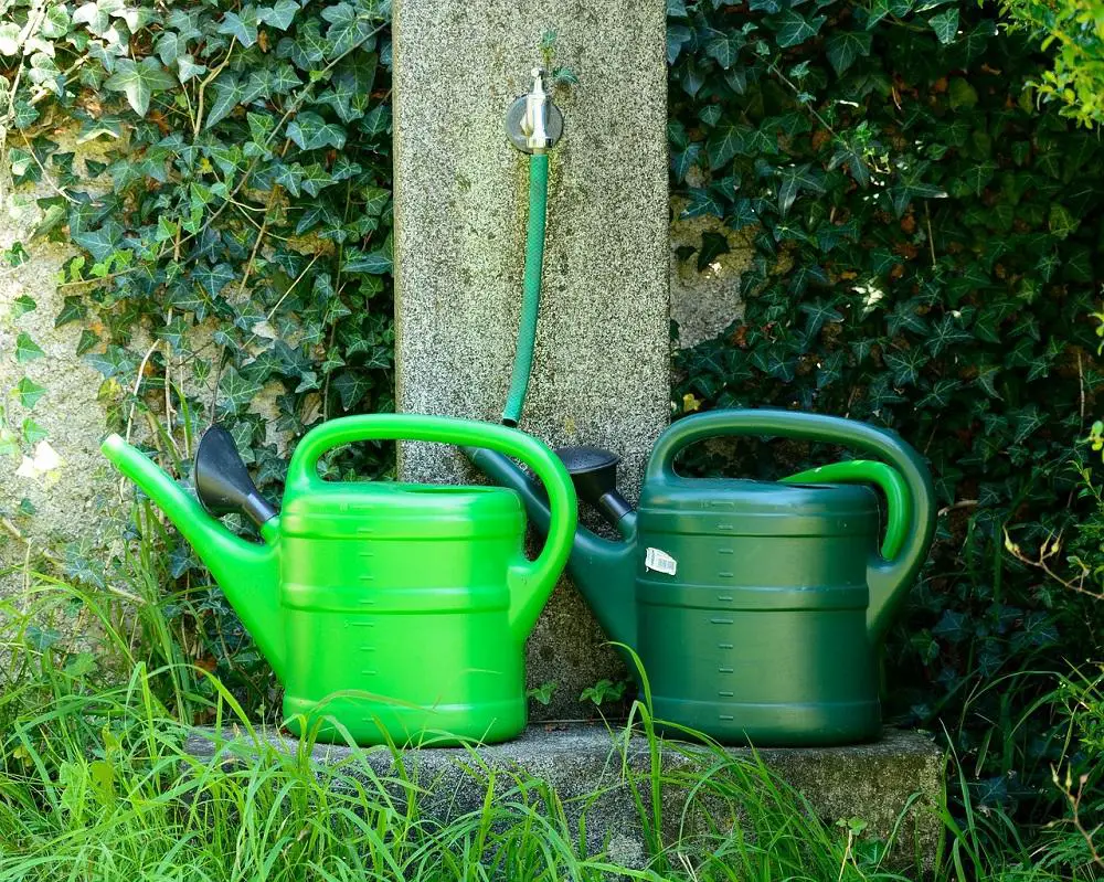 An in depth review of the best watering cans in 2018