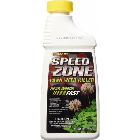 Gordon SpeedZone