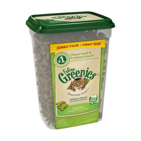 1. Greenies FELINE Dental