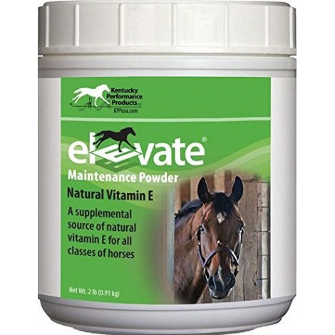 best trace minerals for horses
