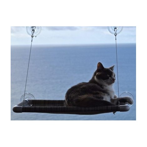 8. Original KITTY COT
